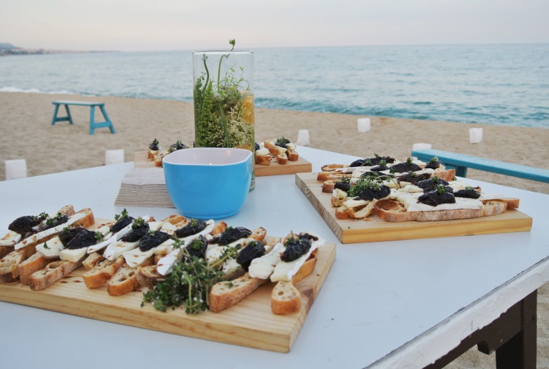 2014-05-17-20-40-552_2014-05-17-20-34-552_thehangingplants