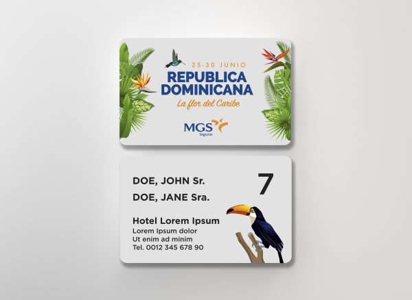 Plastic Credit Cards Mockup